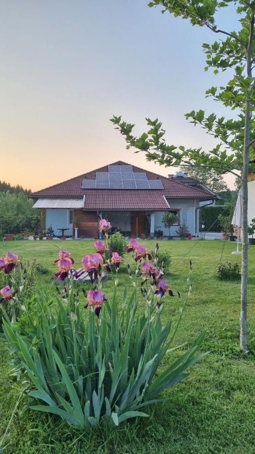 Northwest Studio Apartments Klagenfurt am Woerthersee Luaran gambar
